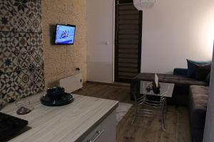 TV a/nebo společenská místnost v ubytování Apartment Sirius Kopaonik + 10 fotografií