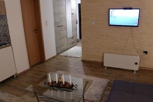 TV a/nebo společenská místnost v ubytování Apartment Sirius Kopaonik