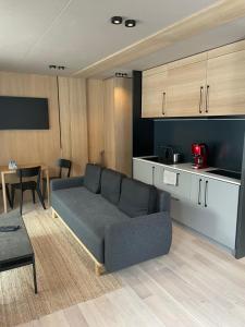 a living room with a couch and a kitchen at Vila M15 in Topliţa