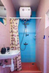 a bathroom with a sink and a shower at Nameliai pas Jolita in Palanga +25 photos