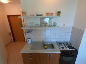 cocina pequeña con fregadero y fogones en Apartments Stanko, en Petrčane