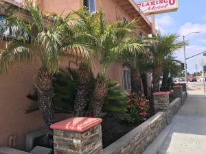 Gallery image of Flamingo Motel Oxnard in Oxnard