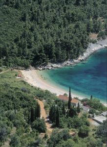 an aerial view of a beach with trees at Ferienhaus SIKLUH-128-4 in Lumbarda