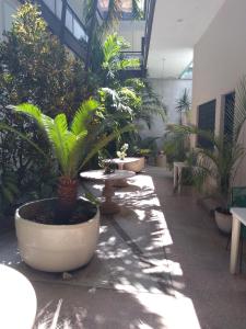 a courtyard with potted plants in a building at Hotel Colimense in Acapulco