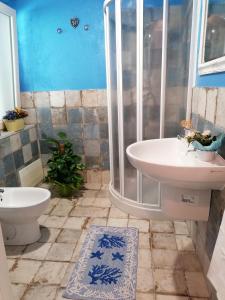 een badkamer met een douche, een wastafel en een toilet bij Casa Contadina in Oristano
