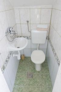 a bathroom with a toilet and a sink at Vineyard Cottages - Murvica (146) in Murvica