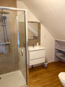 een badkamer met een douche en een wastafel bij Archicosy Les 3 arches de Dormelles in Dormelles