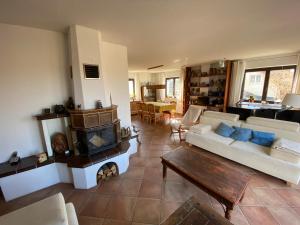 a living room with a couch and a fireplace at Ferienhaus Elisabeth-Erzgebirge in Olbernhau