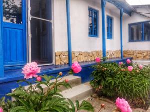 Zahrada ubytování CASA CATERINA JURILOVCA