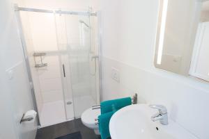 a bathroom with a shower and a sink and a toilet at FeWo Engler Lüneburg Hopfengarten in Lüneburg