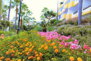 Fotografia z galérie ubytovania Cala del Sol - Premium Apartment v destinácii Mijas Costa