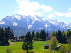 a green field with snow capped mountains in the background at Fewo Christina in Krün