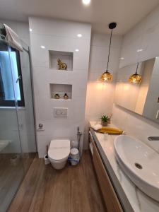 a bathroom with a toilet and a sink at Apartman Kamena 67 A in Tučepi +17 photos
