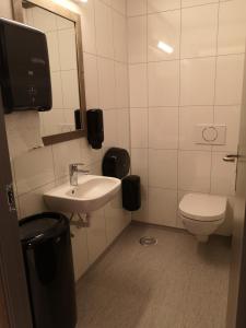 een badkamer met een wastafel, een toilet en een spiegel bij Haglebu Feriesenter in Eggedal