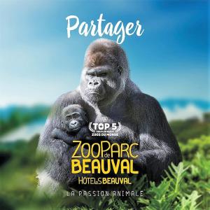 Gallery image of Les Bruyères de Jeanne et René Zoo de Beauval à 20min,Châteaux TOUT INCLUS in Fontguenand