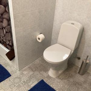 a bathroom with a toilet and a roll of toilet paper at Apartamentai Taikos 24 in Nida +23 photos