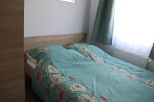 Fotografia z galérie ubytovania Liget Apartmanház v destinácii Kehidakustány