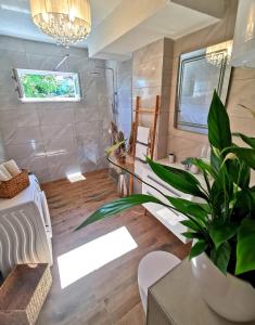 a bathroom with a potted plant in a room at Elegance Suite Martina in Orebić