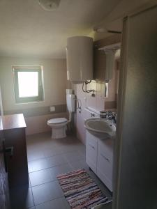 La salle de bains est pourvue de toilettes et d'un lavabo. dans l'établissement Apartments Vellico, à Bale