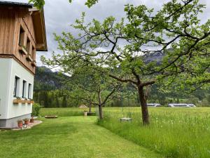 a yard with two trees and a building at Egglmeier's Ferienwohnung in Grundlsee