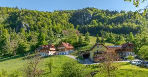 Příroda nedaleko apartmánu