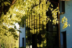 Hôtel Le Mouton Bleu外面的花园