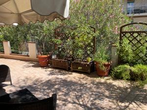 a group of potted plants in a patio at Villa Alba Boutique Hotel in Pescara