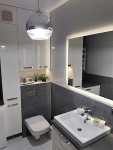ギジツコにあるLucky Marinaのバスルーム(洗面台、トイレ、鏡付)