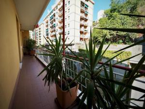 einen Balkon mit Topfpflanzen und ein Gebäude in der Unterkunft DIMORA MARTINETTI (FIUMARA/SCASSI) - GENOVABNB it in Genua