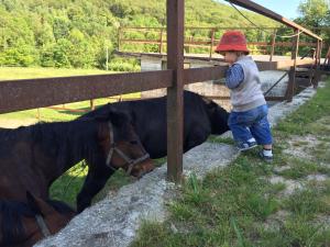 Galería fotográfica de Favetto Family Ranch en Rueglio