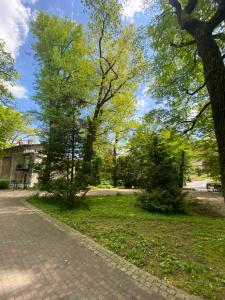 Vonkajšia záhrada v ubytovaní Apartament Zdrój Lądek