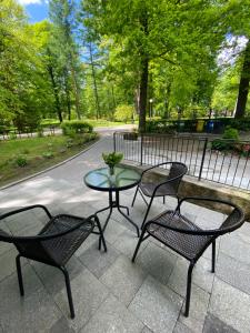 Vonkajšia záhrada v ubytovaní Apartament Zdrój Lądek