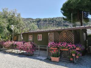 a garden filled with flowers on a sunny day at Camping Roma in Ventimiglia