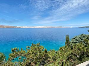 Galeriebild der Unterkunft Beachfront apartments Carlo in Karlobag