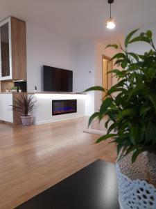 a living room with a tv and a potted plant at Luxury panorama apartament,Coresi in Braşov