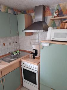a kitchen with a white stove and a microwave at Ferienwohnung im Leuchtturmort Bastorf in Bastorf