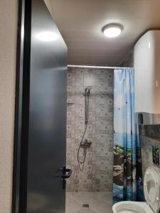 La salle de bains est pourvue d'une douche et de toilettes. dans l'établissement VIDA, à Lozenets