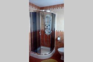 a bathroom with a shower and a toilet at Gospodarstwo Agroturystyczne U Nos Apartament Bioły in Ratułów