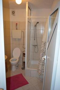 y baño pequeño con aseo y ducha. en Apartment in Vrsi with Balcony, Air conditioning, Wi-Fi (4824-2), en Vrsi