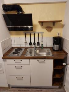 uma cozinha com um lavatório e um fogão em Ankerplatz 23 em Ostseebad Sellin