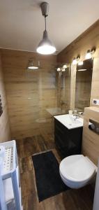 a bathroom with a white toilet and a sink at Kamień Bałtyku Apartament in Debina