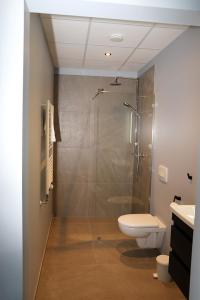 een badkamer met een douche en een toilet bij Tryggvabraut 24 One Bedroom Apartment in Akureyri