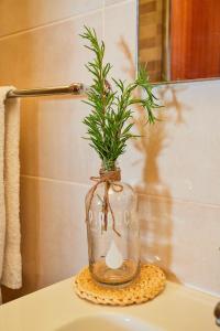 une plante dans un pot en verre sur un comptoir de salle de bains dans l'établissement Cottage da Paradinha: Passadiços do Paiva - Arouca, à Paradinha