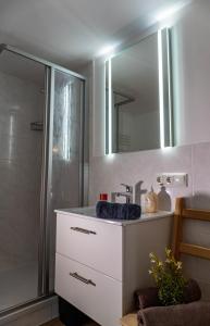 a bathroom with a sink and a shower with a mirror at Apartment Haider 2 in Obertraun