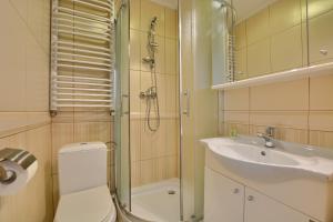 a bathroom with a shower and a toilet and a sink at Willa Białe Tarasy in Krynica Zdrój +18 photos