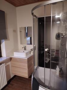 La salle de bains est pourvue d'une douche et d'un lavabo. dans l'établissement Heaven, à Aan de Wolfsberg