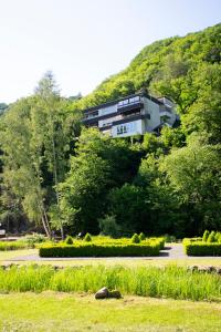 uma casa no lado de uma colina em Ferienwohnung Villa Abrioux am Park em Bad Bertrich