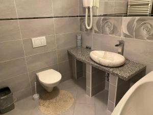 a bathroom with a toilet and a sink and a phone at Penzion Na Císařství in Horní Suchá +23 photos