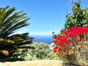Auberge Sant'Antone
