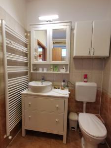 A bathroom at Dia Apartman